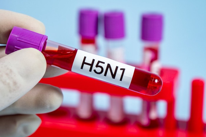 H5N1と書かれた試験管