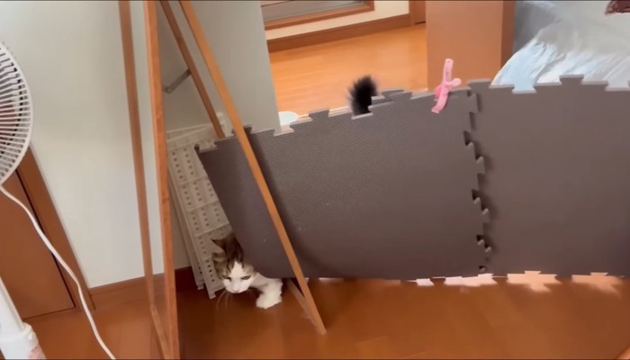 隙間から強引に