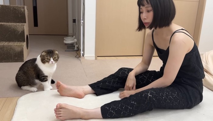 こちらを向くぽこ太郎くん