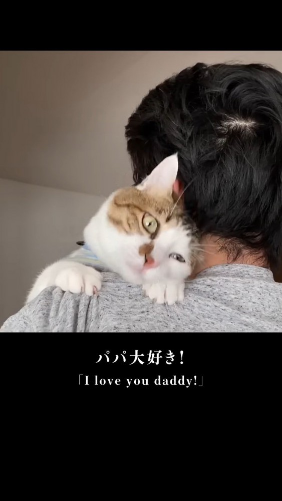 パパに抱っこされるキジ白猫