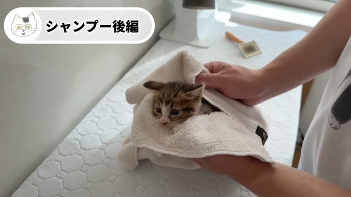 タオルに包まれて