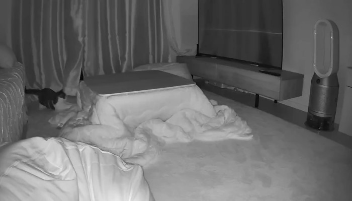 はしゃぐうま次郎くん