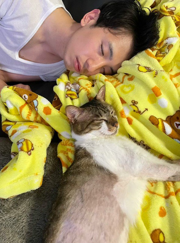 飼い主さんと眠るとろろちゃん