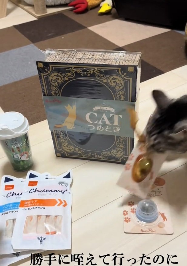 去っていくファミマルちゃん