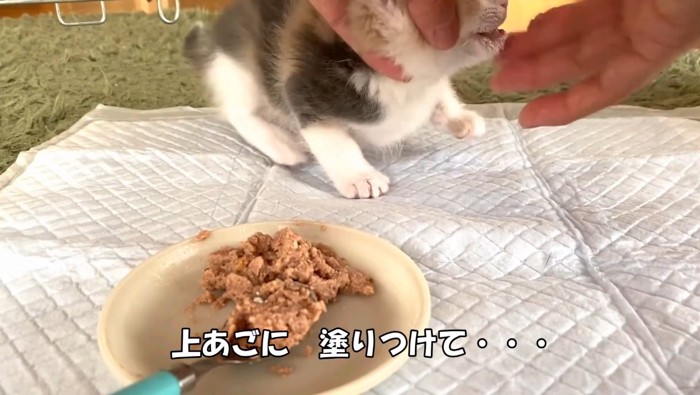 上あごに塗りつけて…