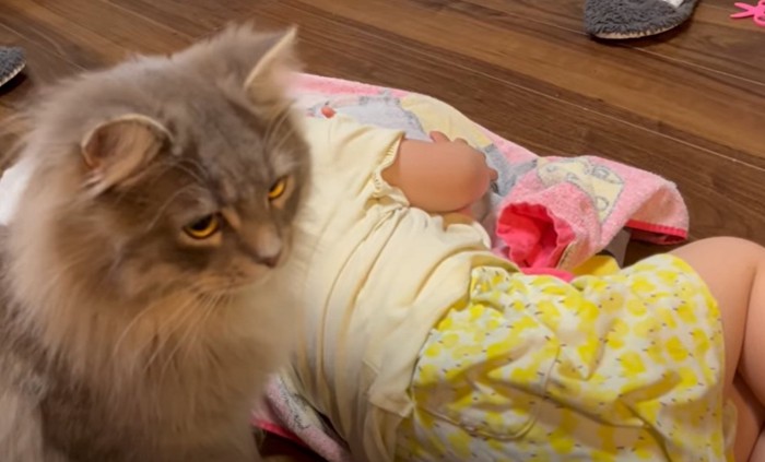 寝ている子供と向かって右側を見る猫