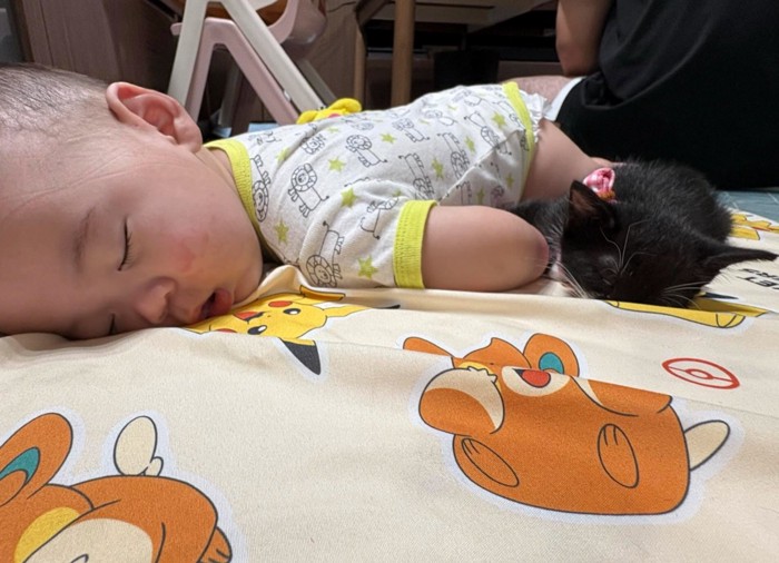 子猫と一緒に眠る赤ちゃん