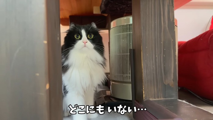 どこにもいない…