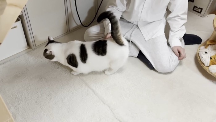 息子さんの目の前に