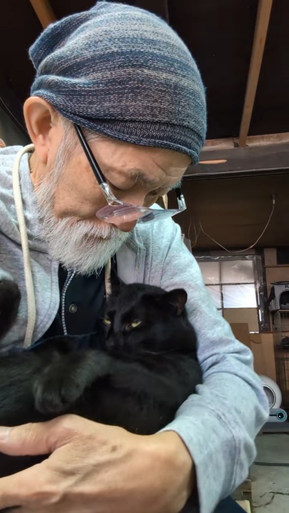 抱っこされる猫