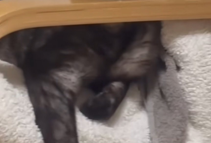 椅子の肘掛け