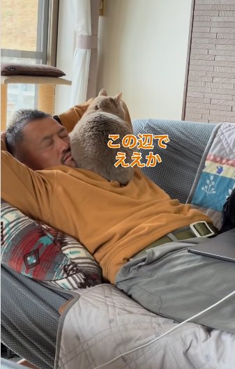 妥協