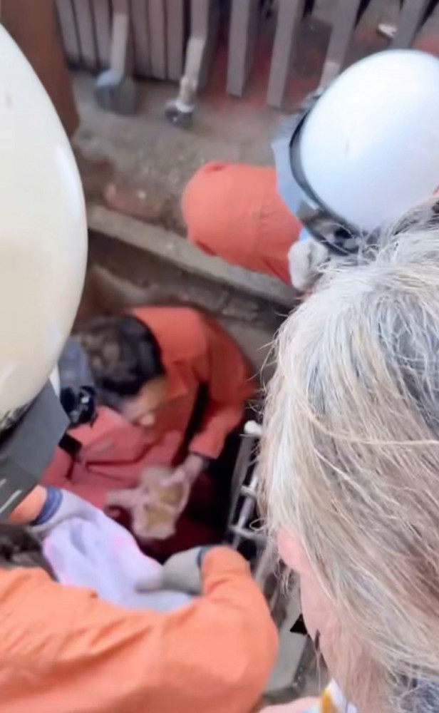 猫を抱えるレスキュー隊員