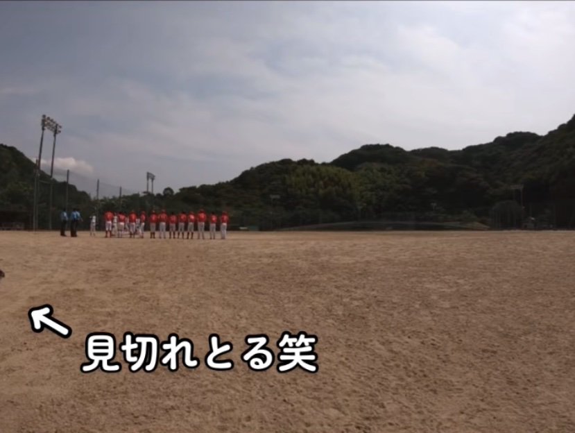 見切れている子猫