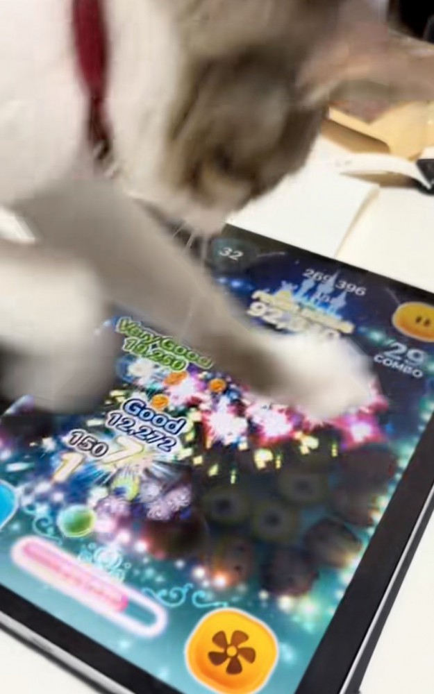 タイムボムを消す