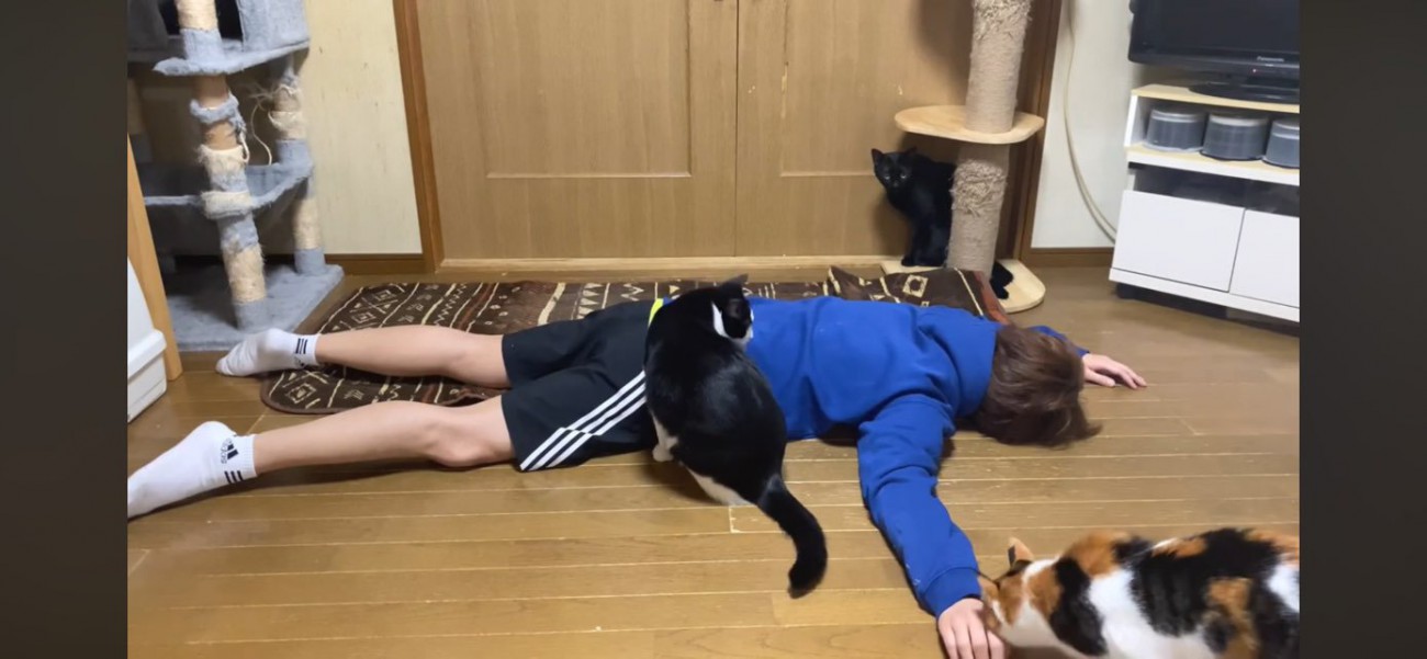 死んだふりをする飼い主さん