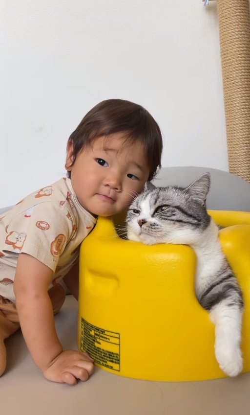 猫と男の子