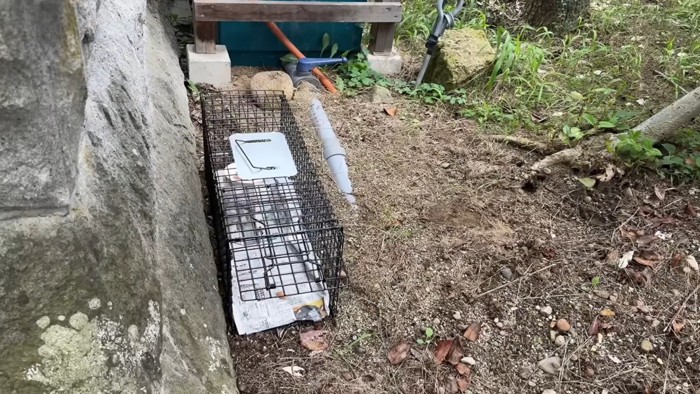 設置された捕獲機