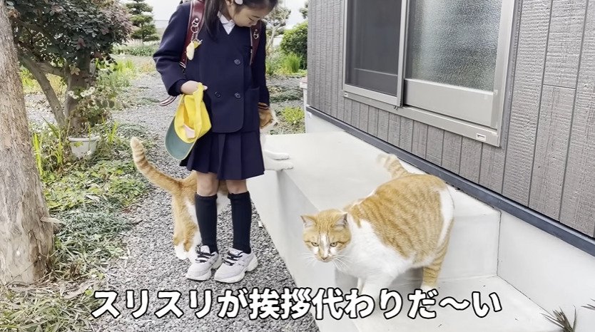 スリスリする2匹の猫