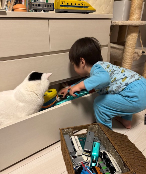おもちゃを取り出す男の子と猫