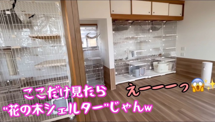 大量に設置されたケージ