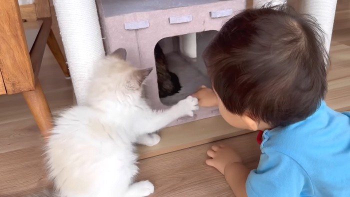 赤ちゃんの手を止めて