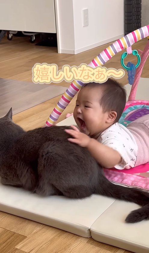 猫を触っている口を開けた赤ちゃん「嬉しいなぁ〜」