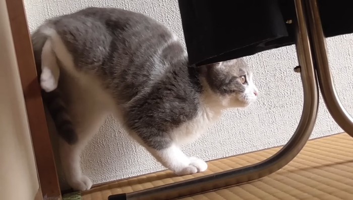 柱から足を少し離して