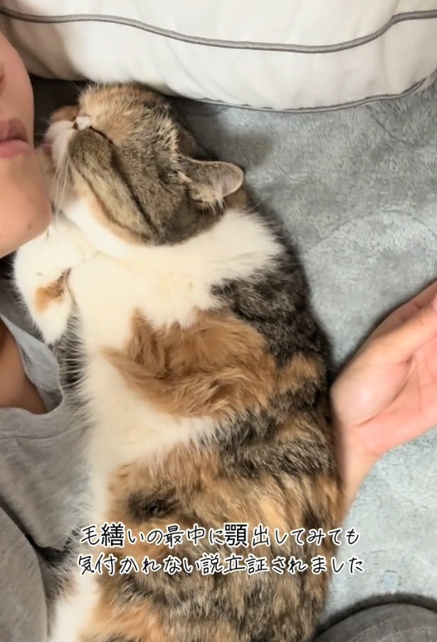 再度顎を舐める小梅ちゃん