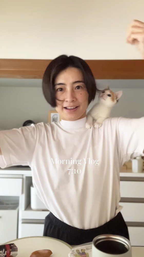 女性の肩に乗っている子猫