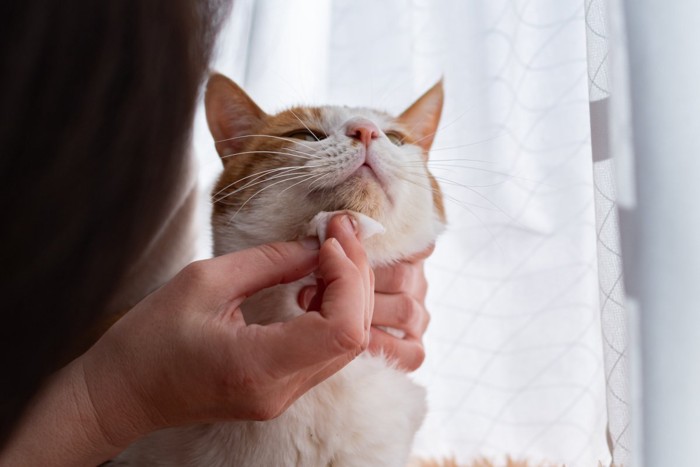 あごニキビのケアを行う女性