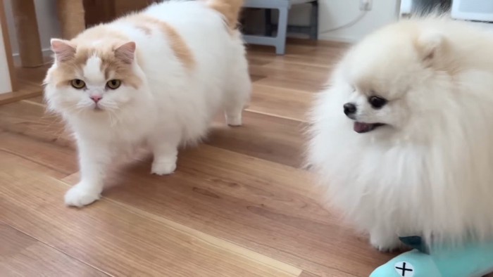 レモンくんとポテチくんとオモチャ