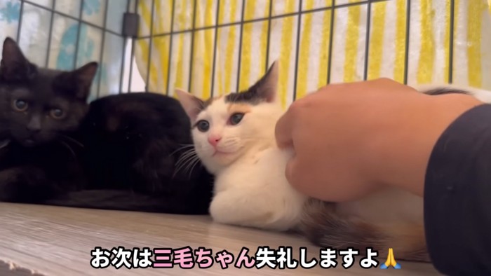 テロップ「お次は～」