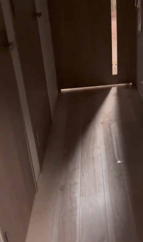 ガラス越しに覗く猫