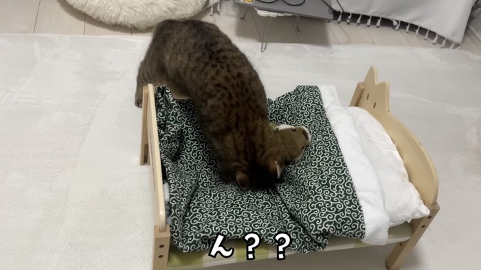 「ん??」のテロップ写真