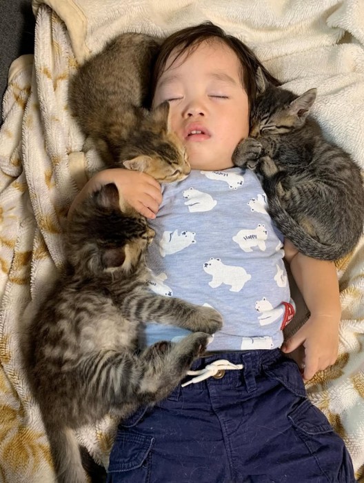 顔を寄せ合って寝ている子どもと子猫