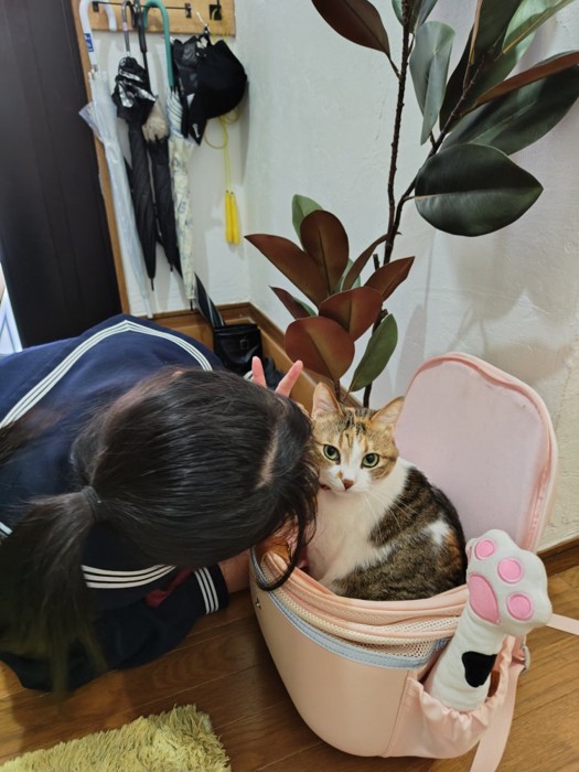 リュックの中の猫