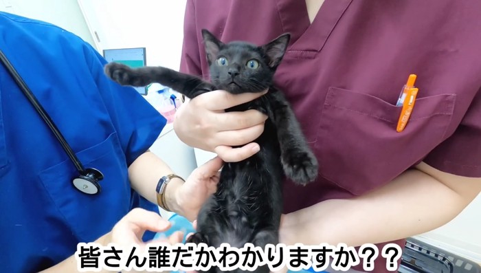 皆さん誰だかわかりますか?