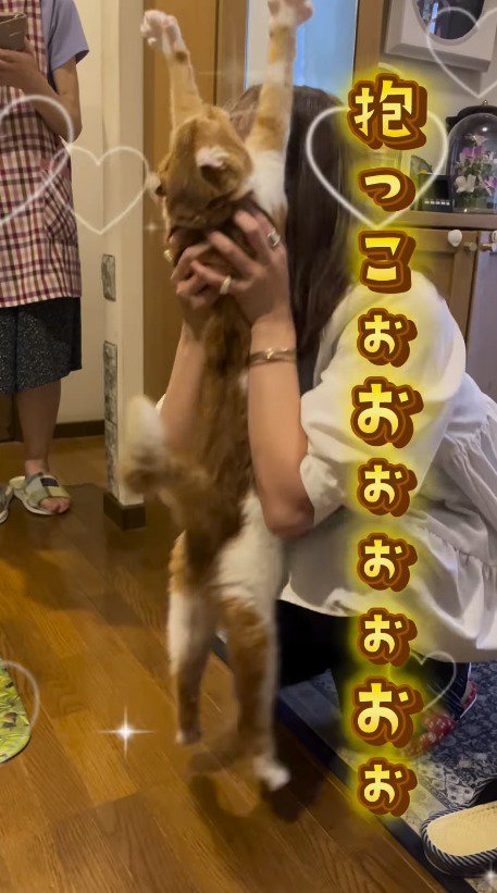 直立する猫の脇腹を両手で包む女性