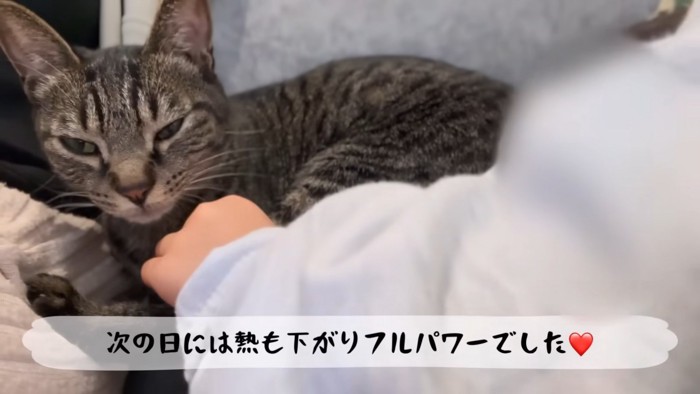 テロップ「次の日には熱も下がり～」