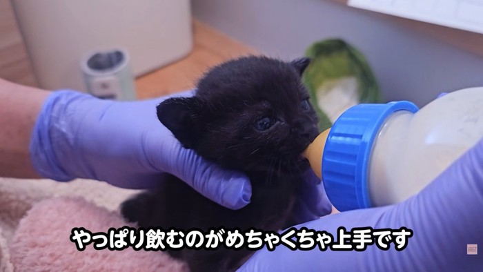 テロップ「やっぱり飲むのが~」