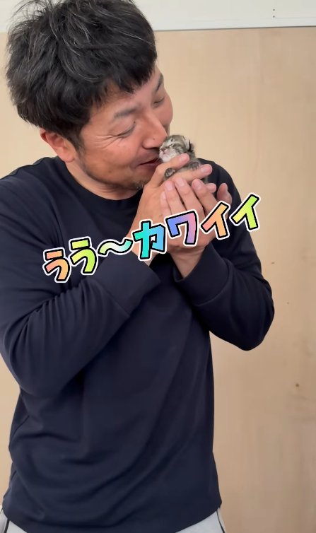 子猫を抱っこしている男性