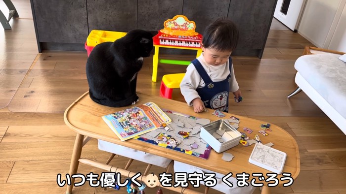 赤ちゃんの遊びを見守る猫