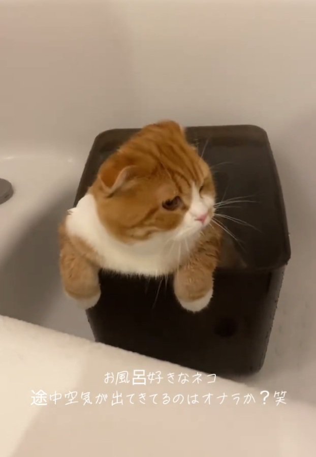 横を向くエトくん