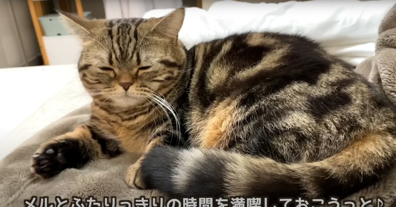 ベッドに座るメルちゃん