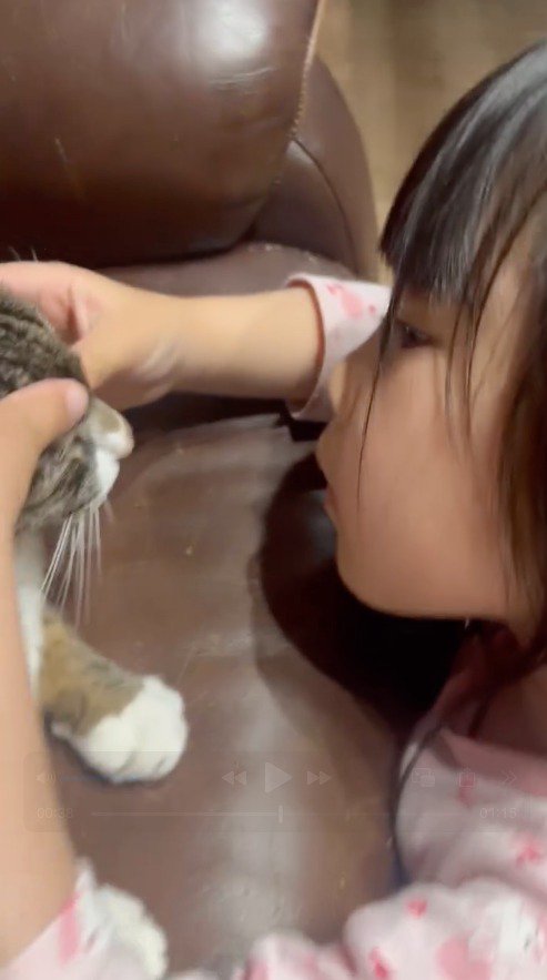 猫の顔に手を添える女の子