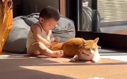 猫の尻尾を掴む赤ちゃん