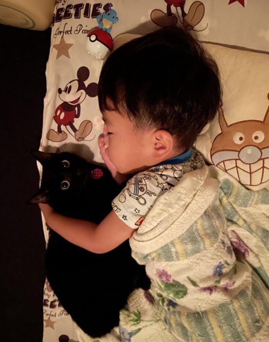 男の子と黒猫
