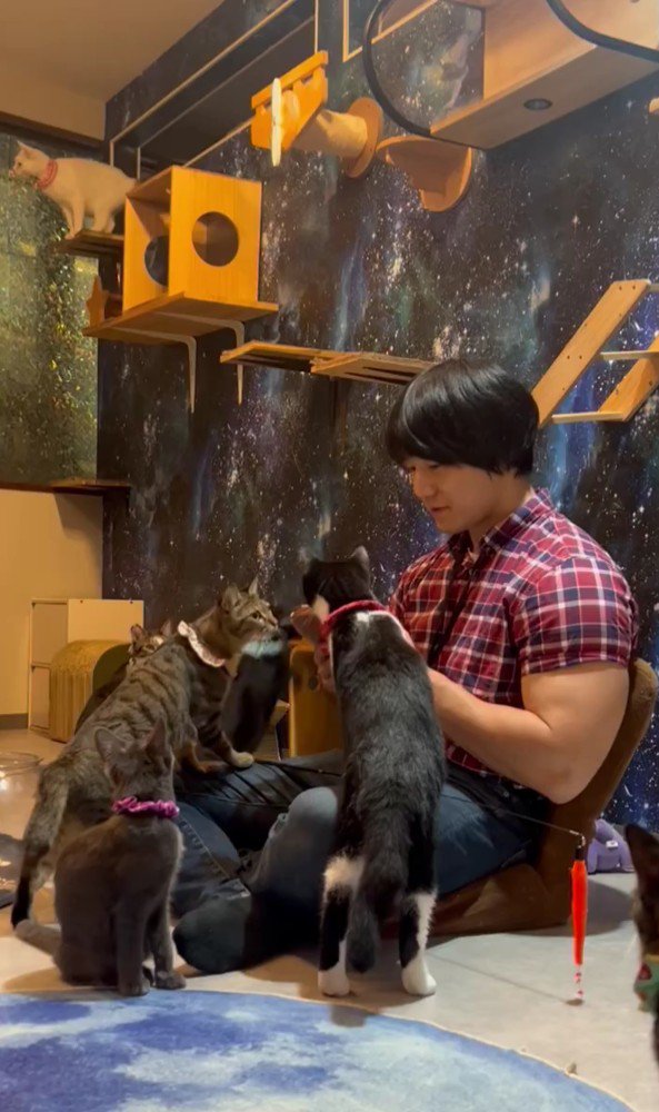 猫カフェでカリンバを奏でる青木マッチョさん