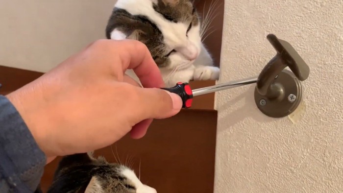 見つめるふたり